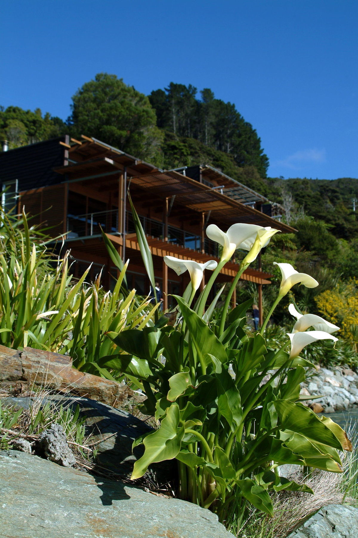 Bay Of Many Coves Hotel Arthur's Bay Exterior photo